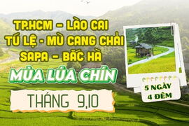 TP.HCM – LÀO CAI – TÚ LỆ - MÙ CANG CHẢI -SAPA – BẮC HÀ - MÙA LÚA CHÍN 5N4Đ