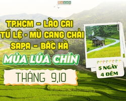 TP.HCM – LÀO CAI – TÚ LỆ - MÙ CANG CHẢI -SAPA – BẮC HÀ - MÙA LÚA CHÍN 5N4Đ