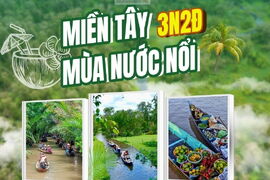 MIỀN TÂY MÙA NƯỚC NỔI 3N2Đ - MỸ THO – BẾN TRE – CHÂU ĐỐC – RỪNG TRÀM TRÀ SƯ – CẦN THƠ – KDL MỸ KHÁNH