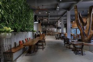 9 Station Hostel Phú Quốc - Trạm dừng trên cả tuyệt vời