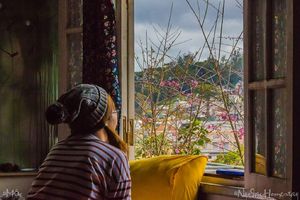 Ngó Dâu Homestay Đà Lạt – Ở homestay và thỏa thích ngắm vườn dâu