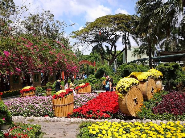 vuon-hoa-thanh-pho-da-lat-6