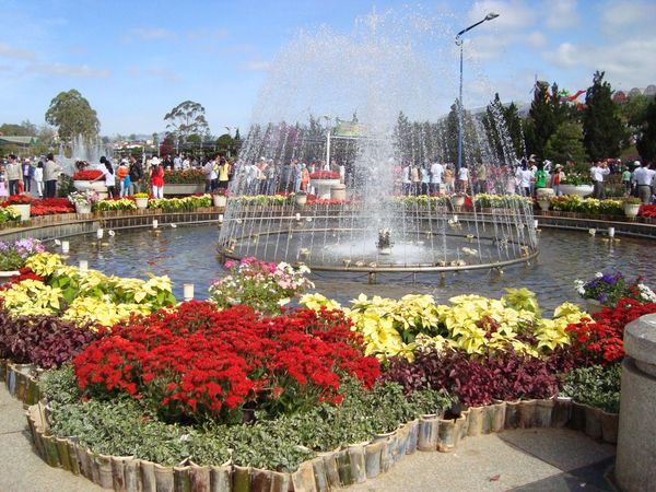 vuon-hoa-thanh-pho-da-lat-2