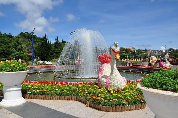 vuon-hoa-thanh-pho-da-lat-4