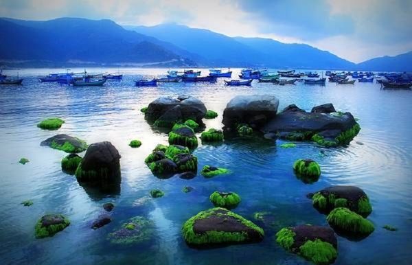 du-lich-dao-binh-hung-1
