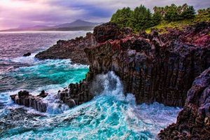 Vách đá Jusang Jeolli trên đảo Jeju, Hàn Quốc