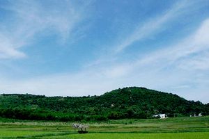 Núi Nứa Vũng Tàu - Một điểm tham quan thú vị