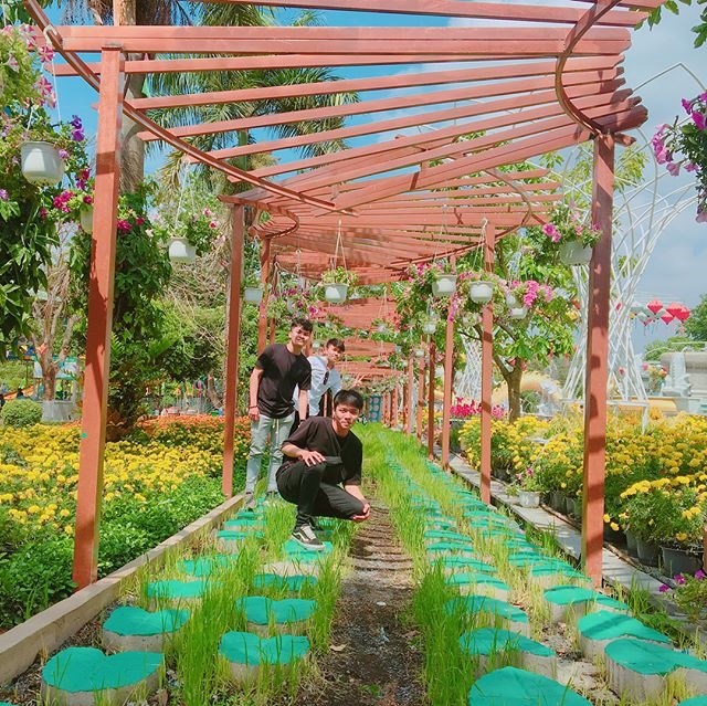 Truy lùng tọa độ vườn hoa đẹp hút hồn chỉ cách Sài Gòn 30km