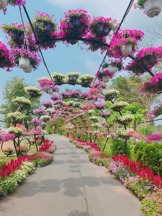 Truy lùng tọa độ vườn hoa đẹp hút hồn chỉ cách Sài Gòn 30km