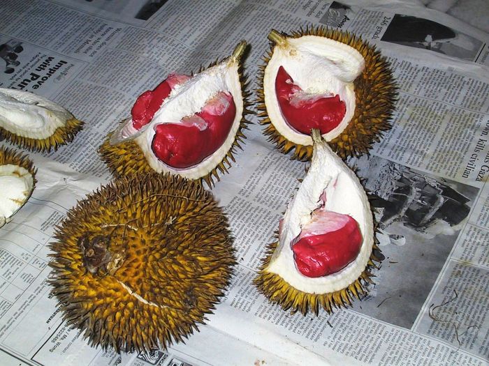 durian5