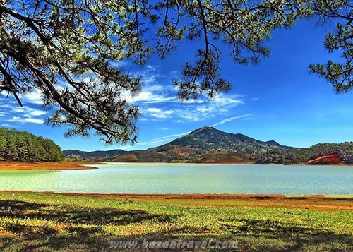 mot-goc-ho-suoi-vang-da-lat