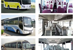 Cho thuê xe 25 - 29 - 30 chỗ tại Củ Chi đời mới, giá rẻ