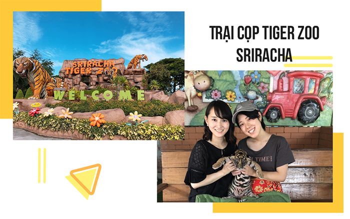 tour-thai-lan-bang-kok-pattaya-1