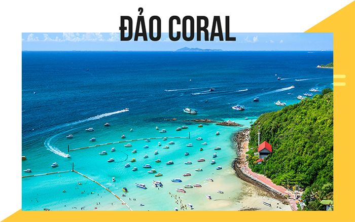 tour-thai-lan-bang-kok-pattaya-4