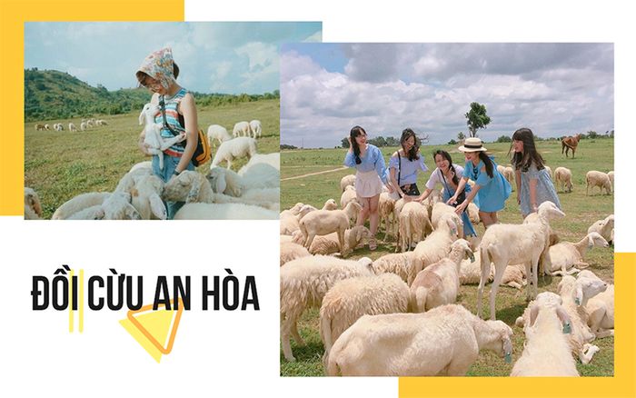 tour-team-building-gala-dinner-ninh-chu-vinh-hy-tanyoli-3n3d6