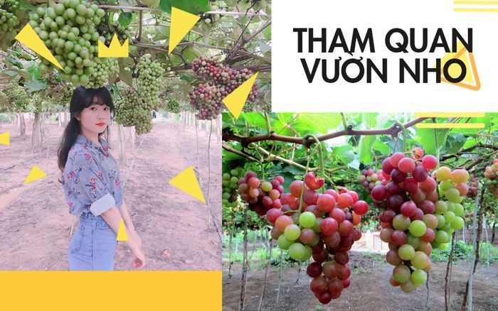 tour-team-building-gala-dinner-ninh-chu-vinh-hy-tanyoli-3n3d8