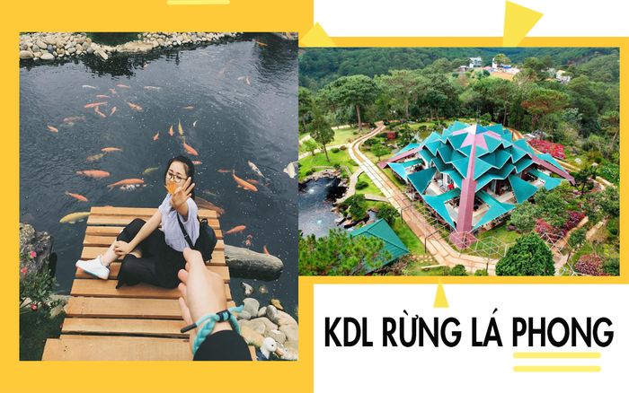 tour-da-lat-tet-duong-lich-3-ngay-2-dem-rung-la-phong