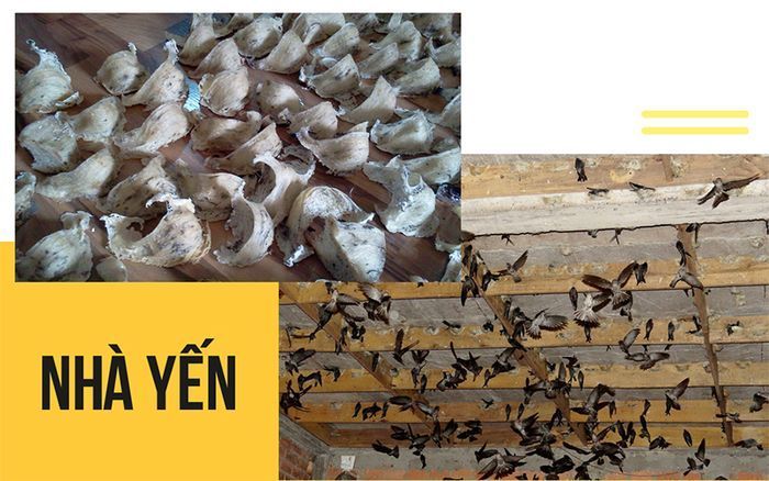 tour-sai-gon-di-nha-trang-vinpeal-land-yang-bay-14