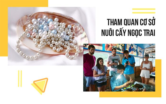 tour-bac-lieu-di-phu-quoc-team-building-gala-dinner7