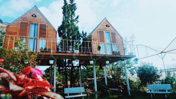 in-the-pines-da-lat-homestay-3