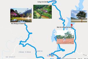 Bản đồ các địa điểm du lịch Đà Lạt cập nhật mới nhất
