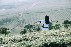 30/4 đi đâu ở Đà Lạt? Khám phá top 20 điểm đến mới nhất