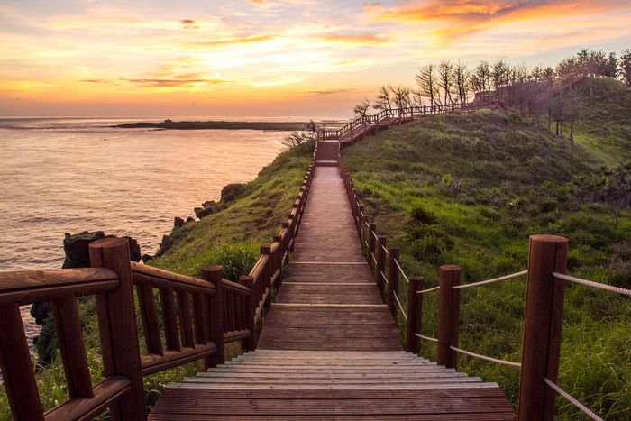 Đảo Jeju Hàn Quốc - Bức tranh phong cảnh hoàn mỹ