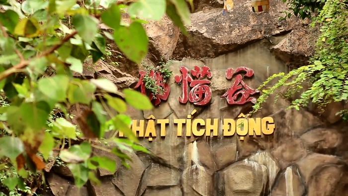 phat-tich-dong