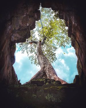 angkor-wat-campuchia51