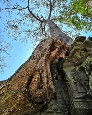 angkor-wat-campuchia27