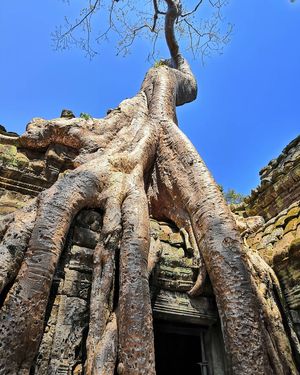 angkor-wat-campuchia26