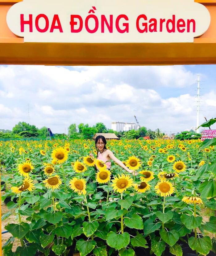 hoa-dong-garden