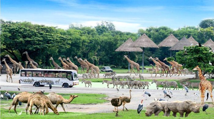 safari-world-bangkok
