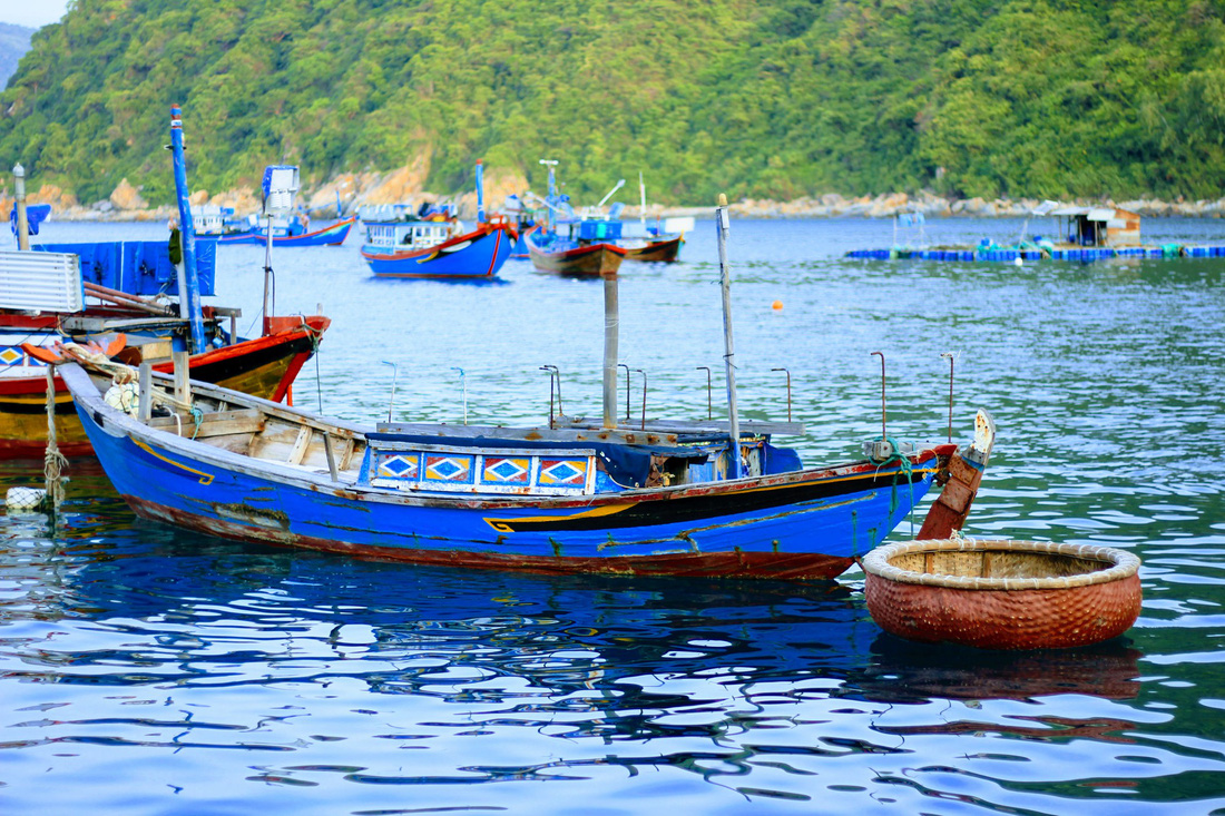 Làng chài nào có hải sản hấp dẫn nhất ở Việt Nam?
