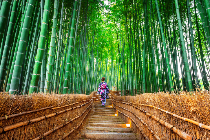 rung-tre-arashiyama