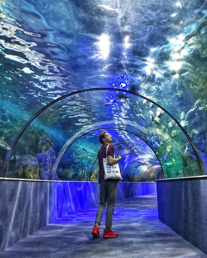 vinpearl-aquarium-times-city-diem-du-lich-le-2-9-o-ha-noi
