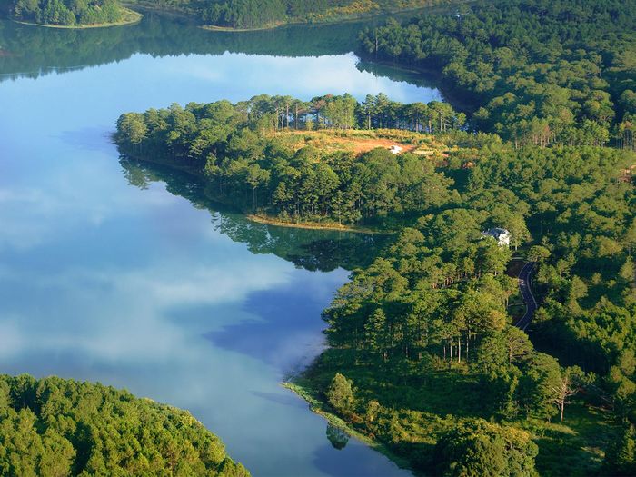 Mặt hồ phẳng lặng bao quanh bởi rừng thông