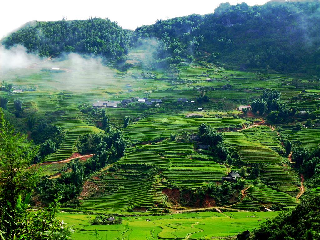 moc-chau