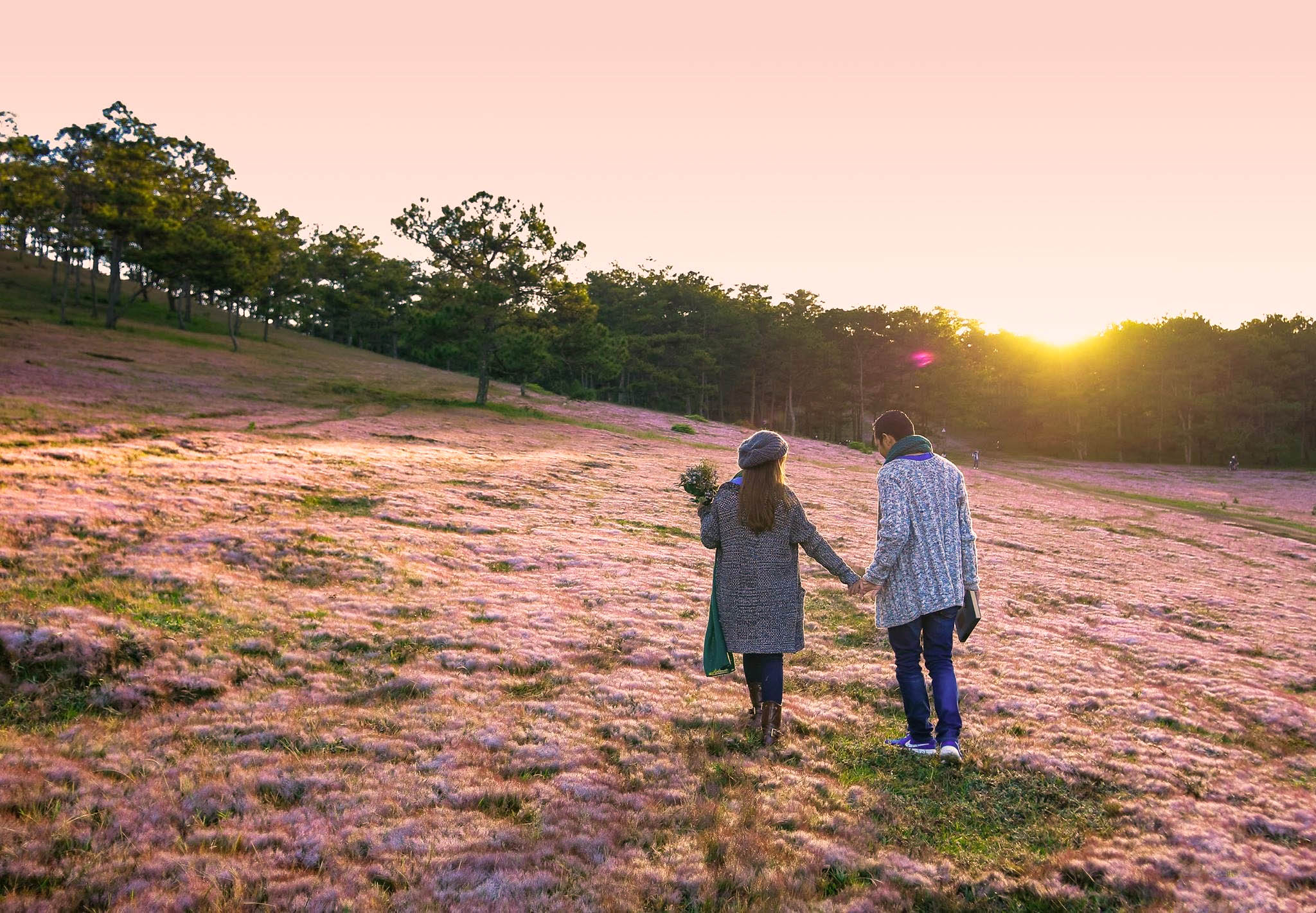 Thời tiết Đà Lạt tháng 12 có thuận lợi du lịch không? Nên trải nghiệm gì?