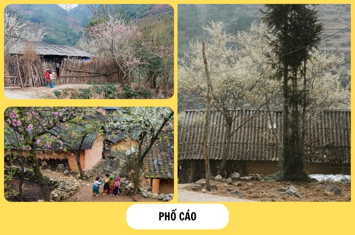 tour-ha-noi-ha-giang