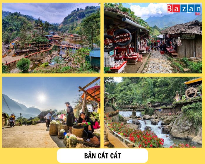 ban-cat-cat