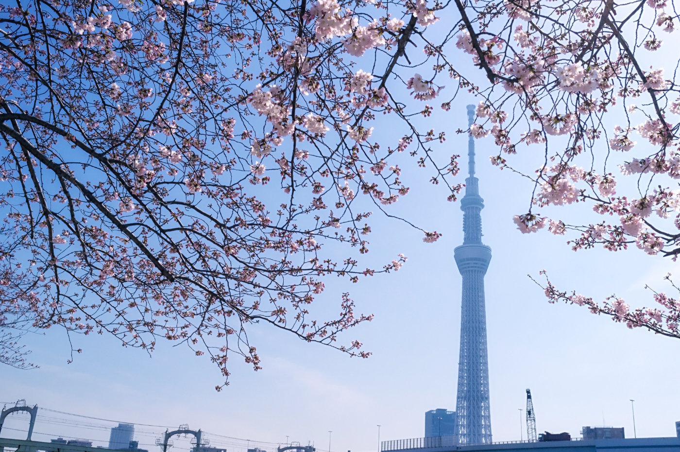 thap-tokyo-skytree-du-lich-nhat-ban