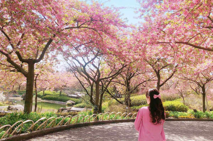 yodo-suiro-tour-nhat-ban-tet-nguyen-dan-osaka-kyoto