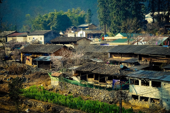 pho-co-dong-van-tour-ha-noi-ha-giang-cao-bang-ban-gioc-ba-be-tet-nguyen-dan