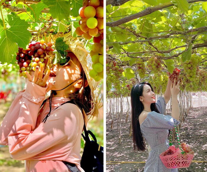 Tour Bình Hưng - Vĩnh Hy - BBQ Tôm Hùm trọn gói