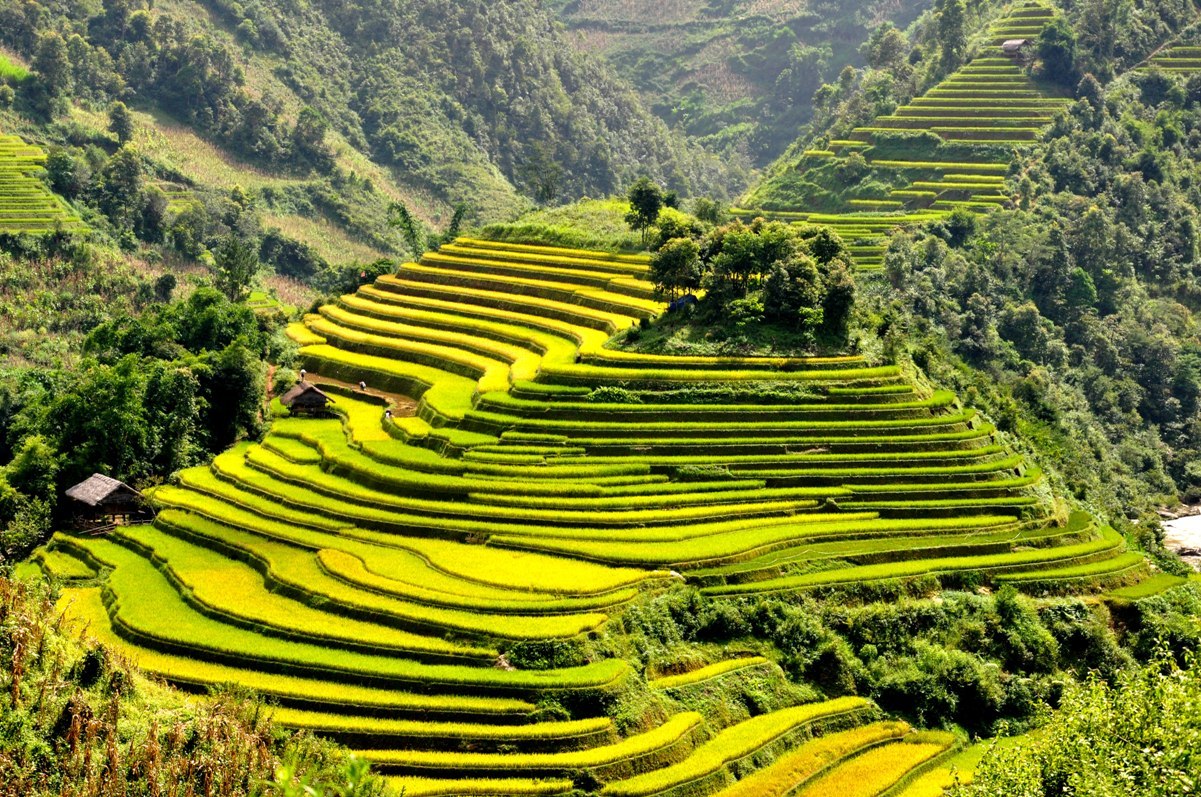tu-le-yen-bai